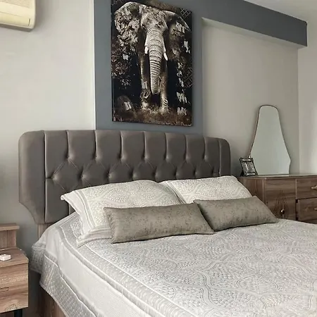 Apartman Orange *